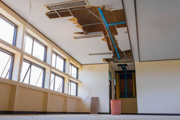  Beaver, UT Water damage restoration Pros