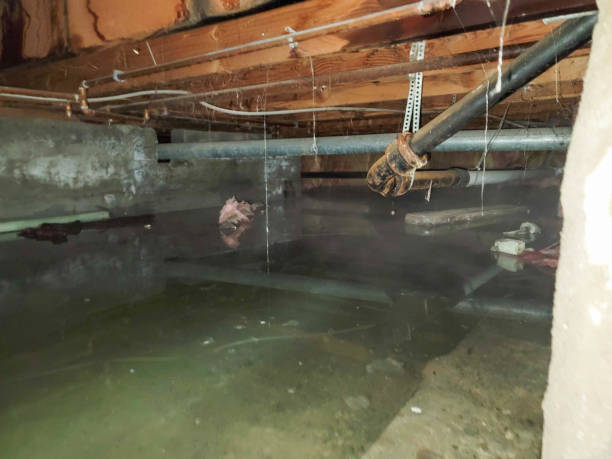 Best Commercial water damage restoration  in Beaver, UT