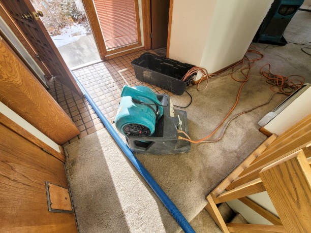 Best Flood damage cleanup  in Beaver, UT
