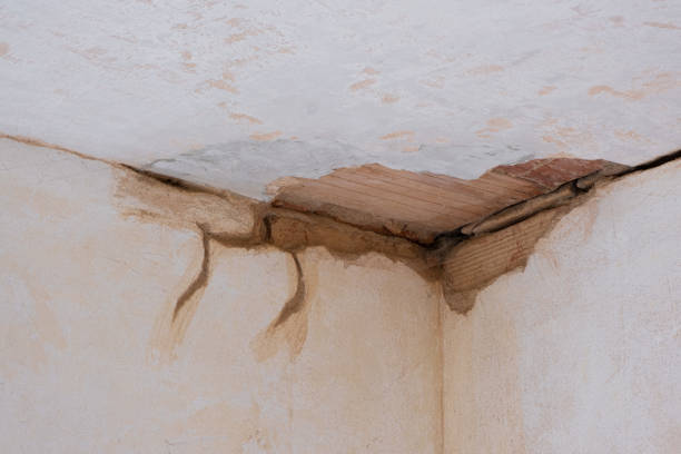 Best 24-hour water damage restoration  in Beaver, UT