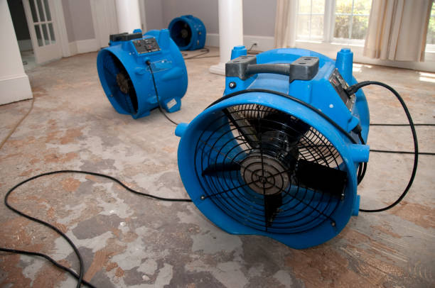 Best Water damage restoration near me  in Beaver, UT