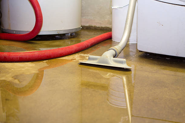 Best Water damage restoration insurance claims  in Beaver, UT