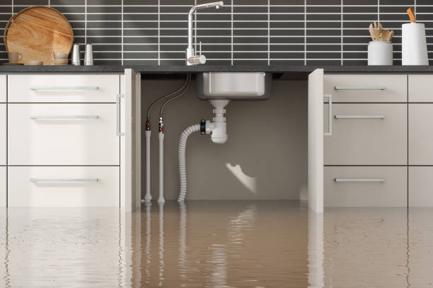 Water damage restoration insurance claims in Beaver, UT