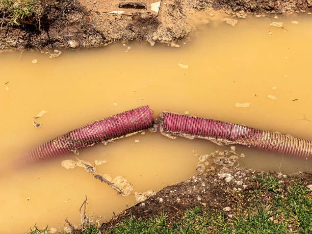 Best Carpet water damage restoration  in Beaver, UT